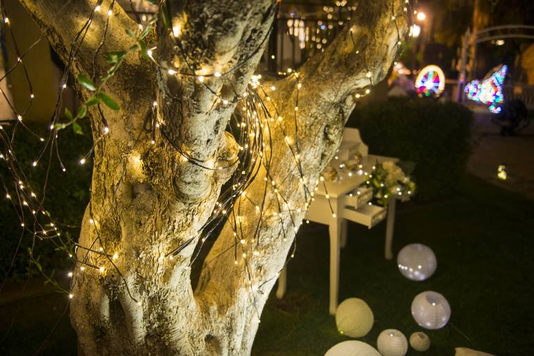 dettagli luci albero