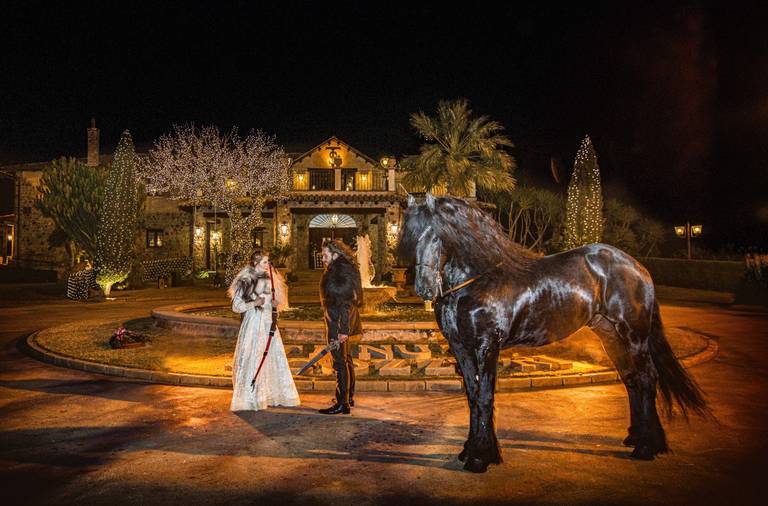 cavallo matrimonio